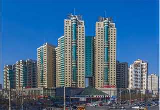 宠物交流活动哪家服务好